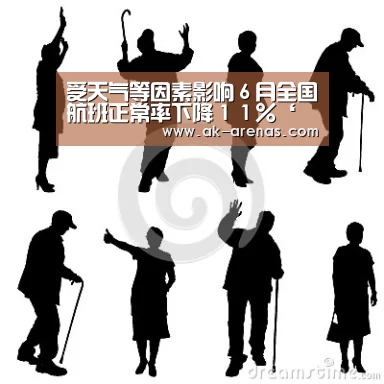  观赛体验