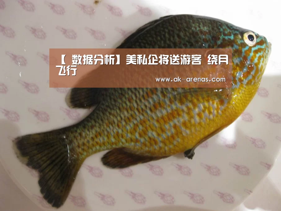  体育赛事