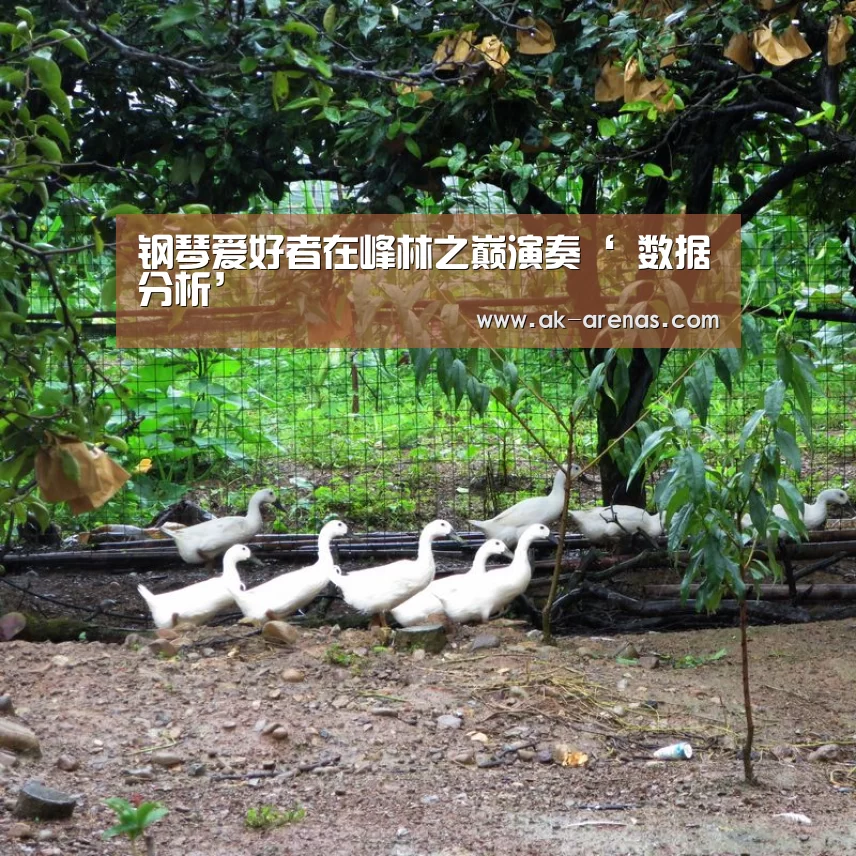  数据分析
